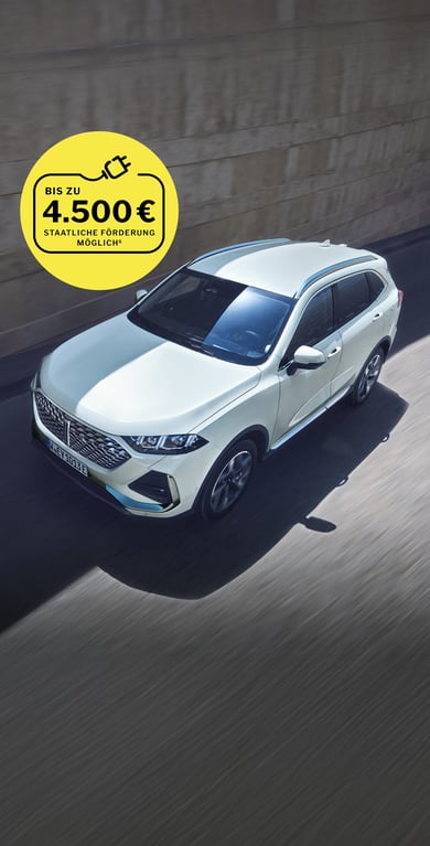 Weißer WEY 03 mit Banner, das auf eine staatliche Förderung von bis zu 4.500 € hinweist.