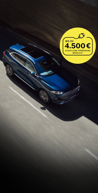 WEY 05 fährt aus der Vogelperspektive durch die Stadt, mit Bannerhinweis auf bis zu 4.500 € staatliche Förderung.