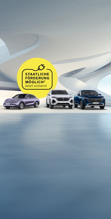 wey_ora_range_m_768x1507