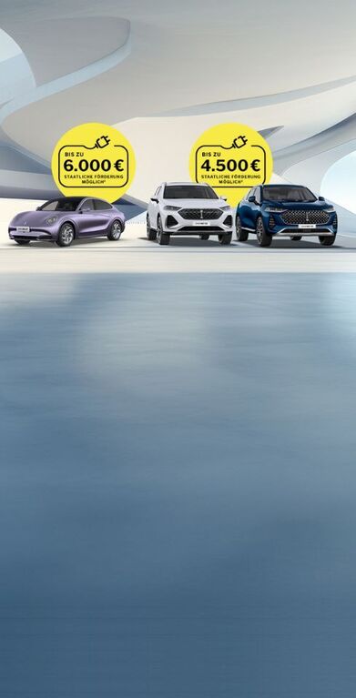 GWM ORA 07, WEY 03 und WEY 05 mit Hinweis auf staatliche Förderung von bis zu 6.000 € bzw. 4.500 €