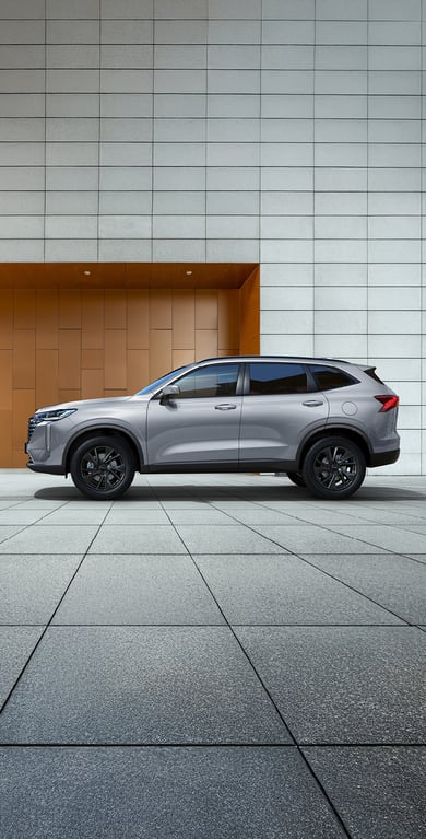 _HAVAL_Slider2_768x1507px