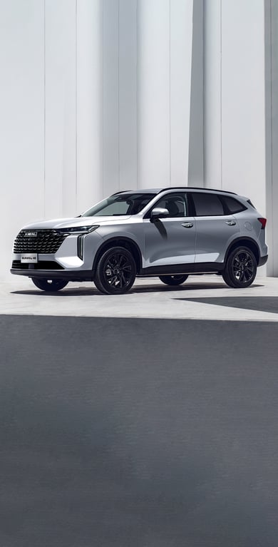 GWM HAVAL H6 in ayers grey 